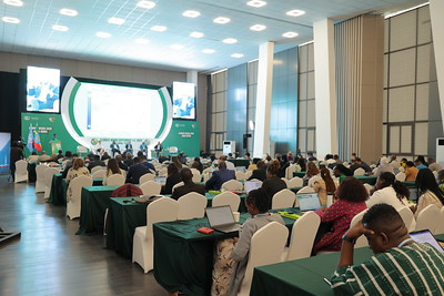 Vue d’ensemble d’une session plénière de la COP29 à Bakou