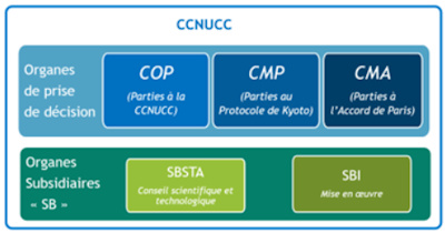 articulation science &rarr; mise en &oelig;uvre, avant validation minist&eacute;rielle